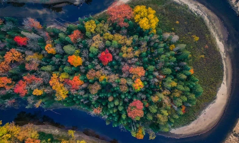 Fratele care a venit cu trecutul pe pragul meu
