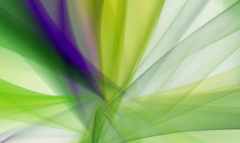 Întoarcerea care a destrămat totul: Între zidurile casei surorii mele