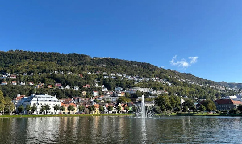 Între casă și sânge: Povestea unei alegeri imposibile