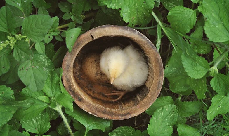 Între două lumi: Povestea mea despre iubire, familie și frica de a repeta trecutul