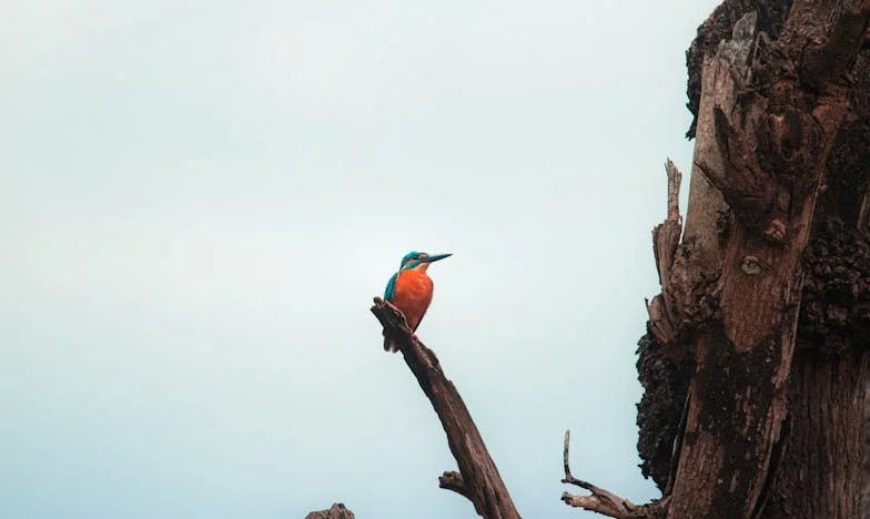 Între fiu și noră: Lacrimi, iertare și un nou început