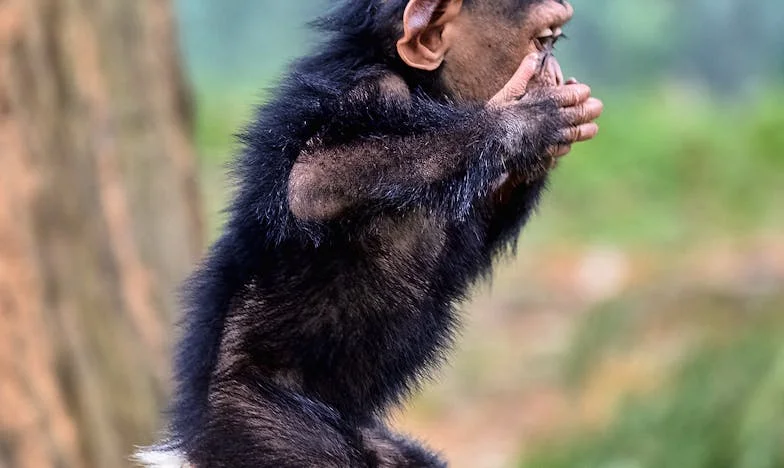 Între mama lui și mine: Povestea unei alegeri dureroase