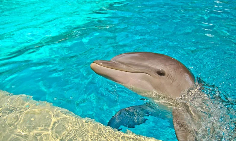 Între visuri și așteptări: Povestea mea, Larisa, și lupta pentru dreptul la fericire