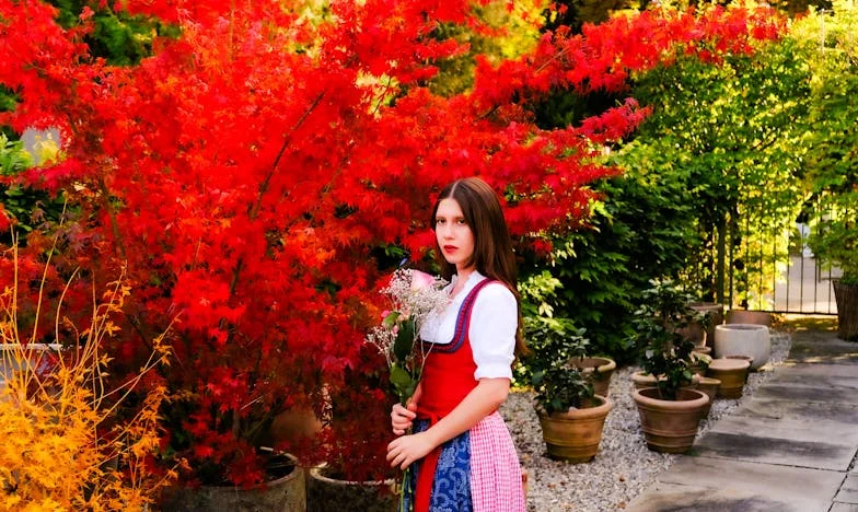 Medicul care a cerut bani înainte de a salva: Povestea mea de regret și răscruce