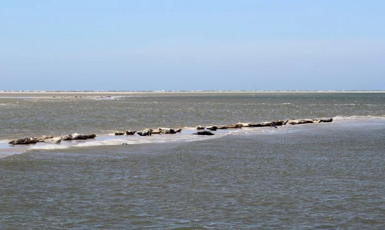 Nadgrobni mister: Povestea unei mame și adevărul care a sfâșiat satul