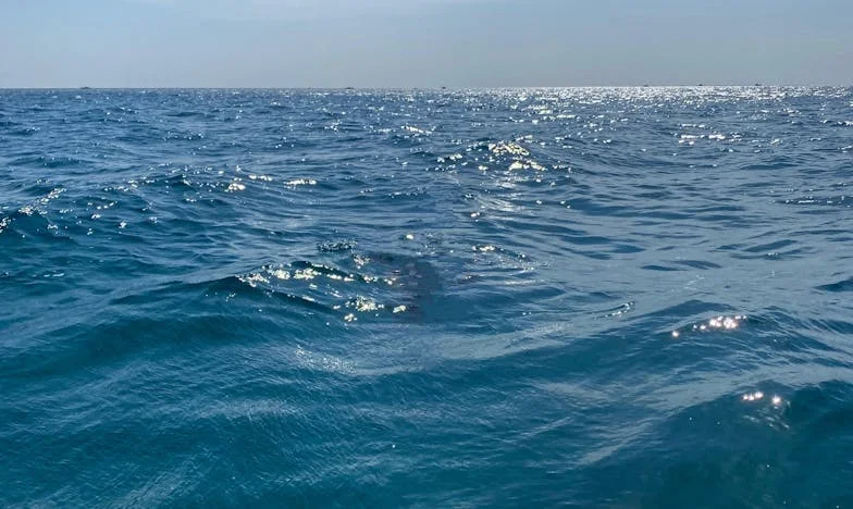 Nu mai recunosc omul de lângă mine: Povestea Magdei și a crizei care a schimbat totul