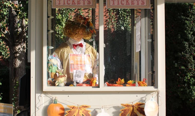 „Nu mai sunt stăpână pe viața mea” – Povestea unei decizii care mi-a răpit libertatea