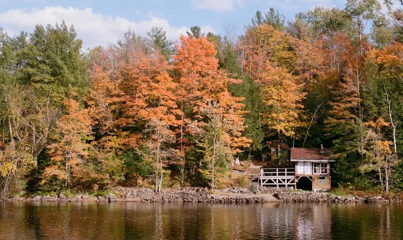 Promisiunea care ne-a rupt familia