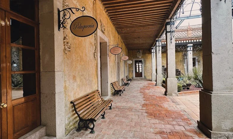 Ultima dorință – În umbra unei femei necunoscute