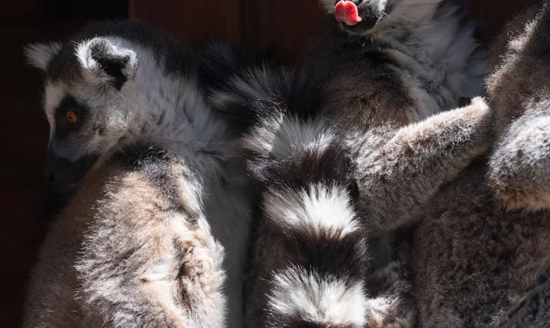 Unchiule Doru, Ar Fi Trebuit Să Fii Lângă Nepoata Ta – Povestea Care Mi-a Schimbat Viața