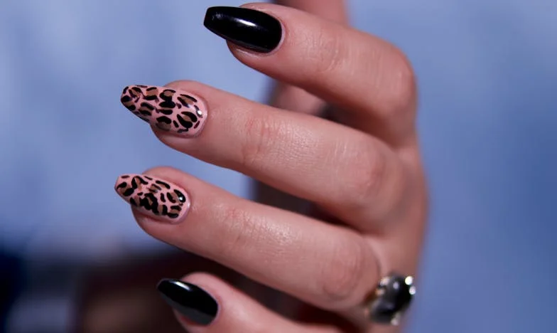 „Acesta este apartamentul fiului meu, iar tu aici nu ești nimeni” – Povestea unei lupte pentru demnitate