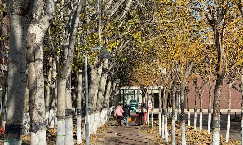 Am dus-o pe mama la azil – povara unei decizii imposibile