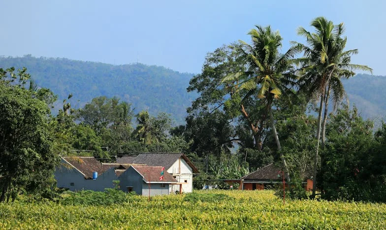 Banii care ard tăcut: Prețul unei căsnicii