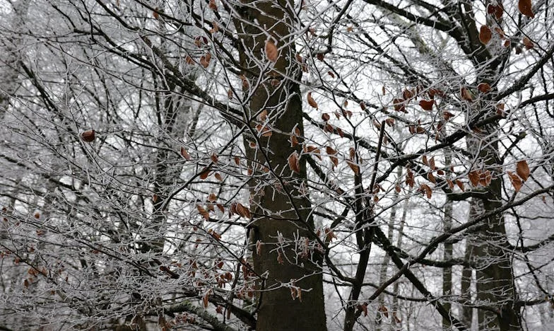 Când adevărul doare: O luptă pentru fiul meu