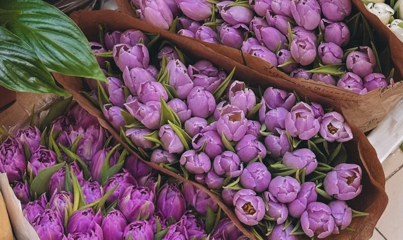 Când casa nu mai e acasă: Povestea unei decizii care ne-a schimbat viața