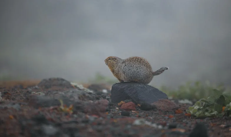Când credința e singurul adăpost: lupta mea cu soacra