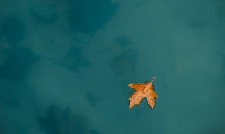 Când fiul meu a deschis ușa poliției: începutul sfârșitului tăcerii