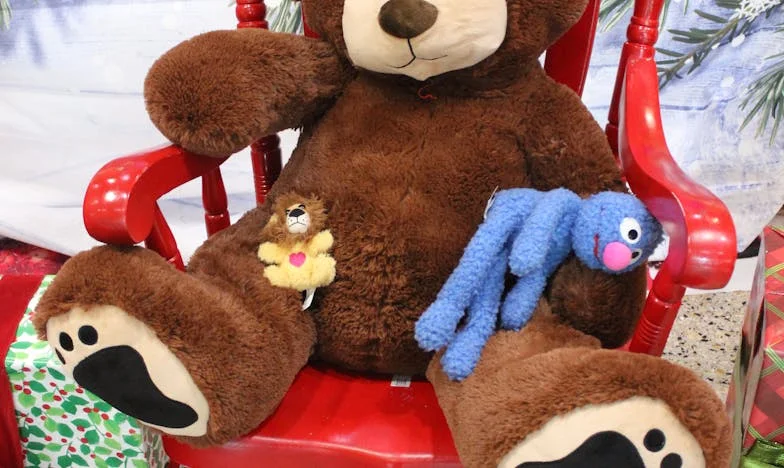 Când viața mea a devenit a soacrei mele: Povestea unei case împărțite între așteptări și liniște