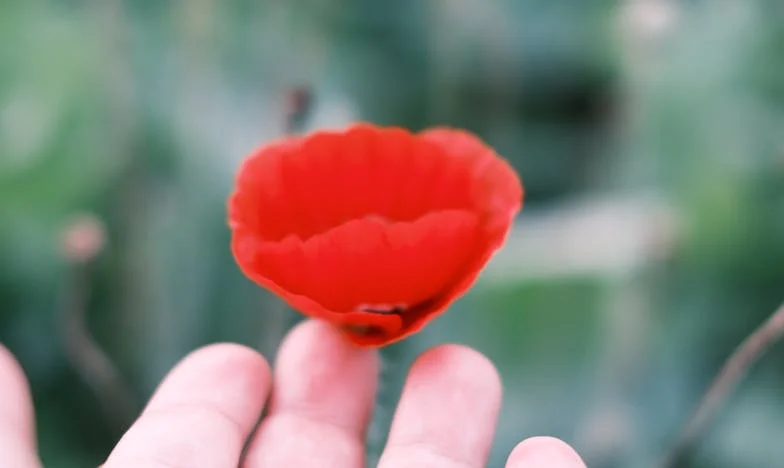 „Câți copii vreau, atâția fac!” – Povestea unei familii destrămate