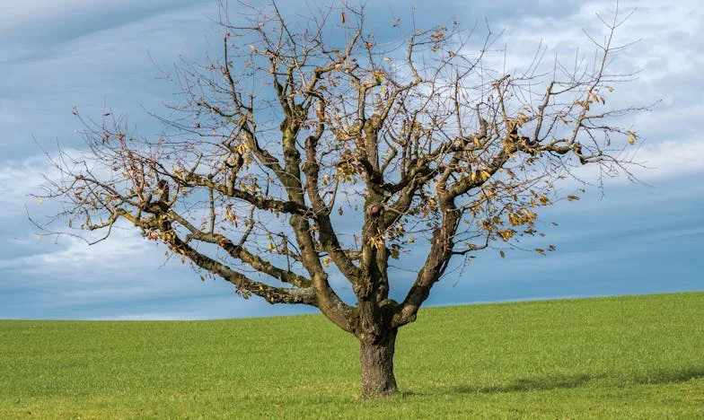Cheia de la casa noastră: Când granițele dispar între generații