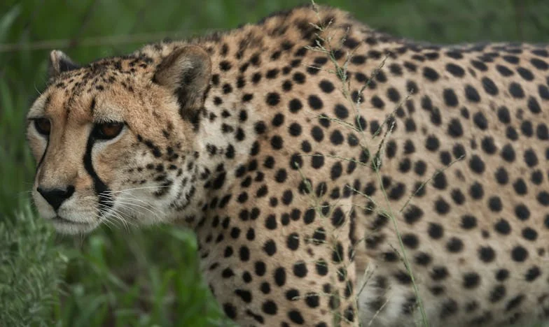 De ce nu-i dau mamei mele cheia de la apartament? – O dramă românească despre limite, control și vindecare