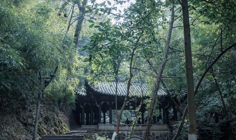 „Doar puțin pentru mâncare!” – Cum o simplă cerere mi-a răsturnat lumea