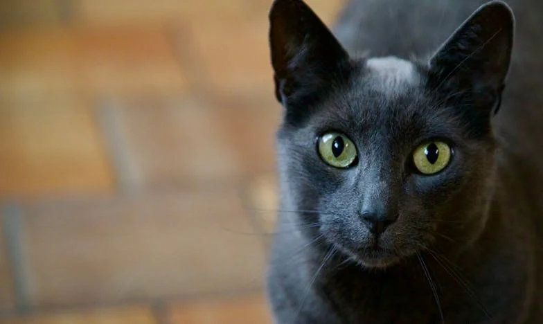 În umbra trădării: Povestea unei familii sfâșiate între iubire și minciună