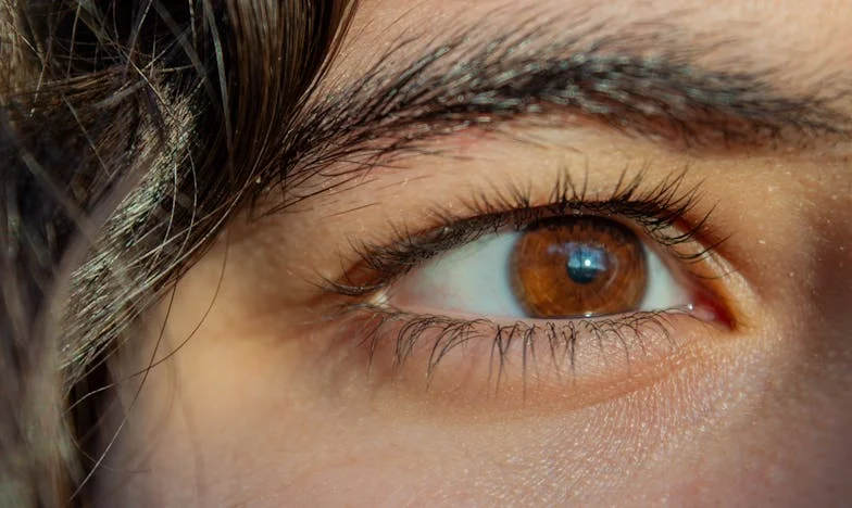 Între cheile casei și lanțurile trădării: Povestea mea de pe strada Dristorului