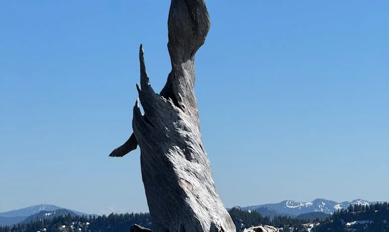 Între două lumi: Povestea mea între mama și soacră