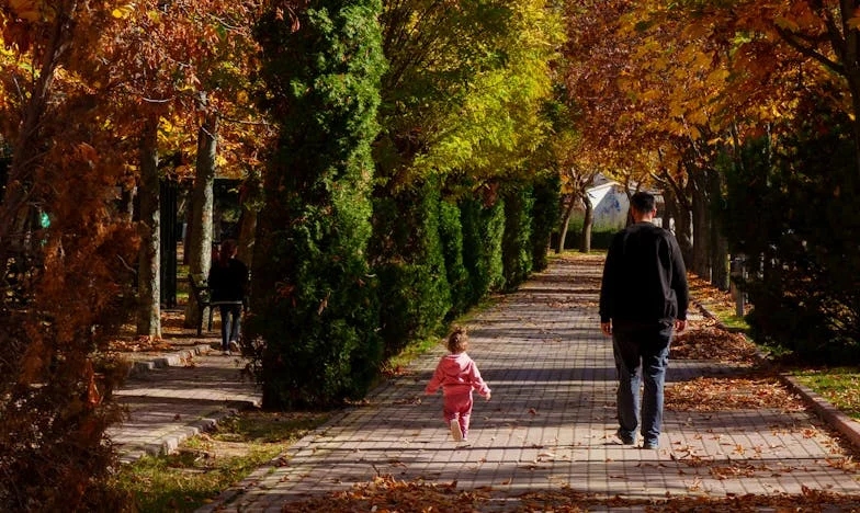 Între două lumi: Povestea unui tată singur după divorț