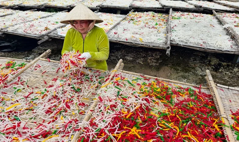 Între dreptate și liniște: Povestea unei mame care încearcă să-și țină familia unită