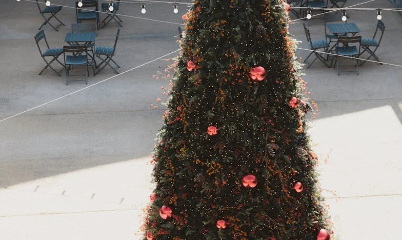 Între prieteni și pământ: Povestea unui vis care ne-a despărțit