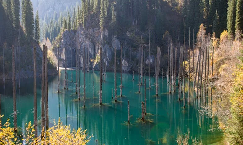 Lacrimi printre rafturi: Povestea visului lui Ilinca și a cărților pentru copiii din spital