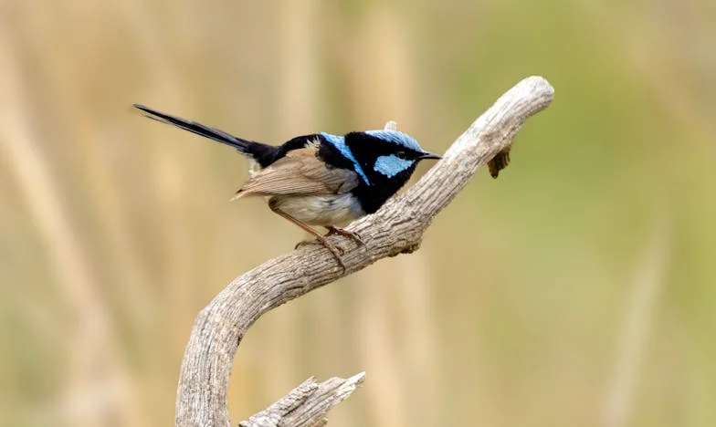 Nu e ca-n filme, dar e viața mea: Poveste despre familie, trădare și iertare