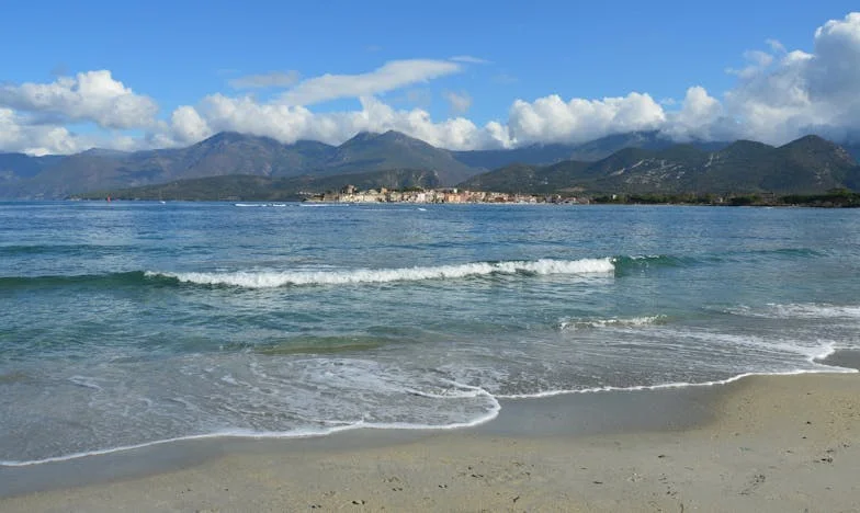 O farfurie nespălată și o viață întreagă de tăceri: Strigătul mut al unei soacre