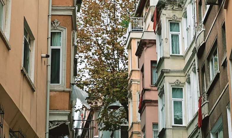 Semne pierdute – Regretele unei soacre