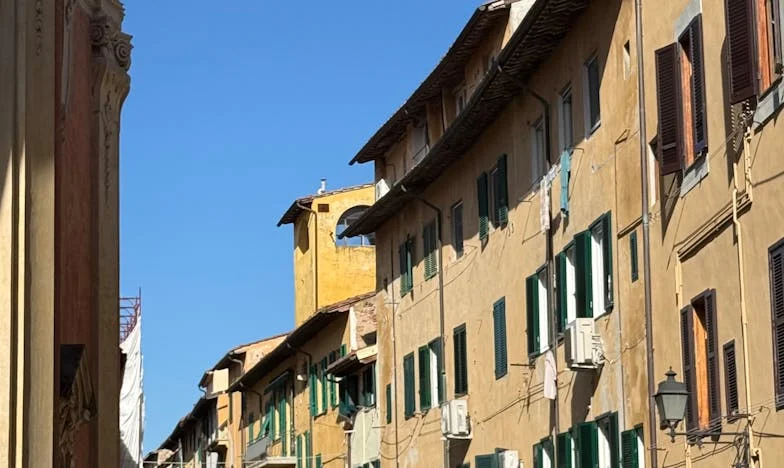 Umbra de la marginea pădurii