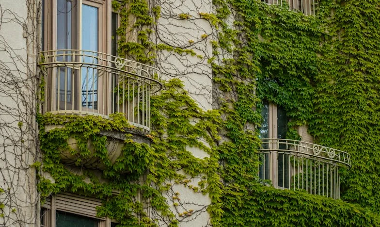 Viața după cincizeci de ani: Când trecutul te obligă să te reinventezi