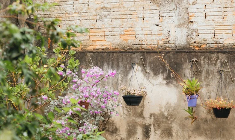 Adevărul care doare: O mamă în căutarea fiului pierdut