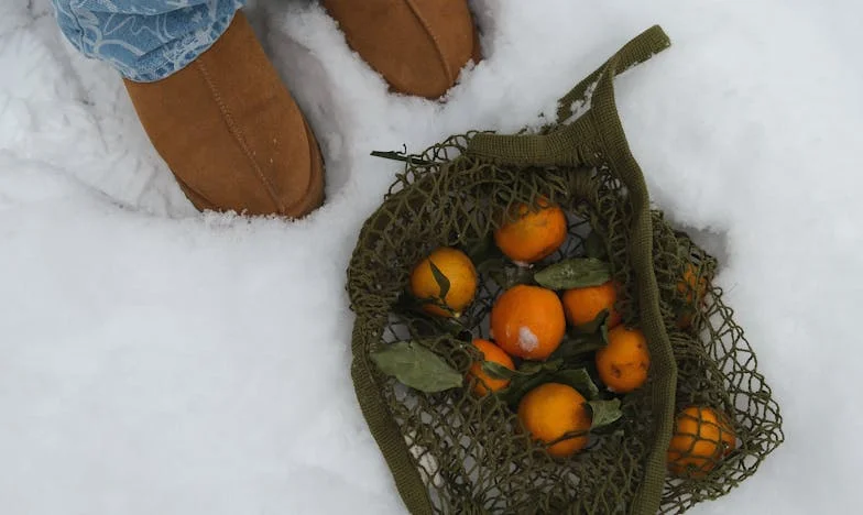 Alungată din propria viață: „Nu ești mamă, ești un blestem” – Prăbușirea și lupta mea pentru fiul meu