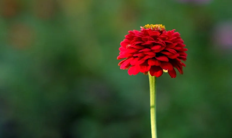 Când am avut cea mai mare nevoie de sprijin, familia soțului m-a trădat: Nu mai vreau să fiu colacul lor de salvare