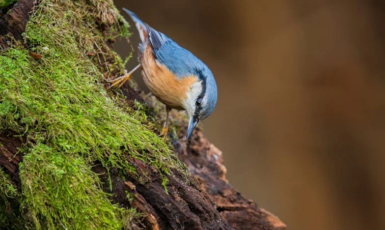 Când am plecat din casa soacrei: Povestea unei decizii care mi-a schimbat viața