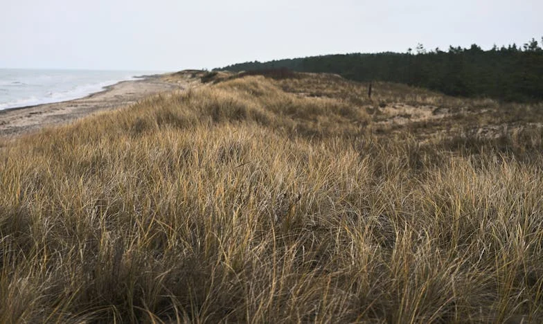 Când bunica a aflat că nepotul așteaptă casa ei