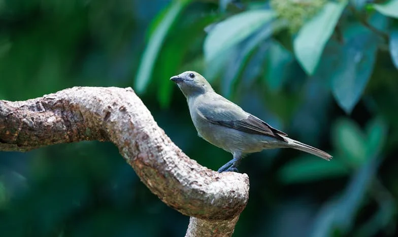 Când Bunicul a Intrat în Casa Noastră: Cinci Luni Care Ne-au Schimbat Pentru Totdeauna