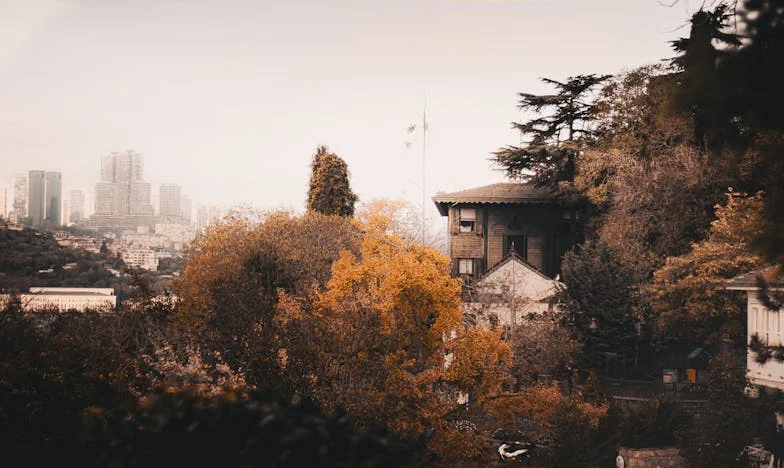 Când copilul tău îți spune că nu te mai iubește: Povestea unei mame din București