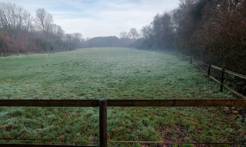 Când familia devine o povară: Povestea mea despre bani, loialitate și limite