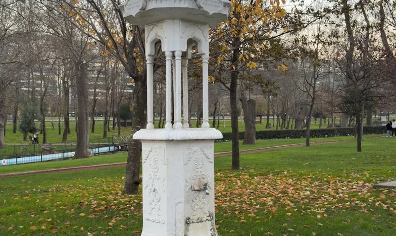 Când sala de clasă devine un câmp de luptă: Povestea mea despre tăcere, luptă și familie