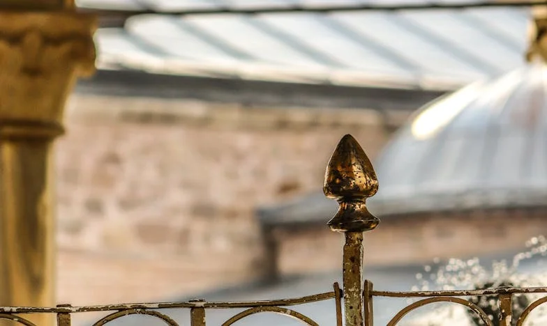 Când soacra îți aduce o găleată cu castraveți trecuți: Vara în umbra comparațiilor de familie