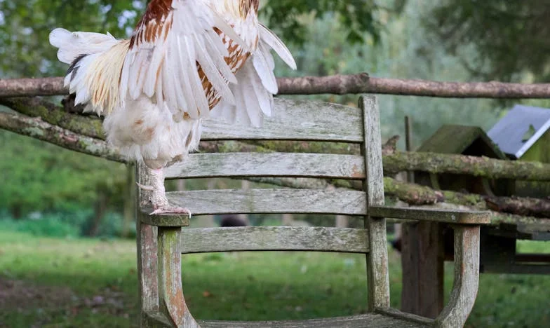 Când ușa casei nu mai e doar a ta: Povestea unei lupte pentru liniște