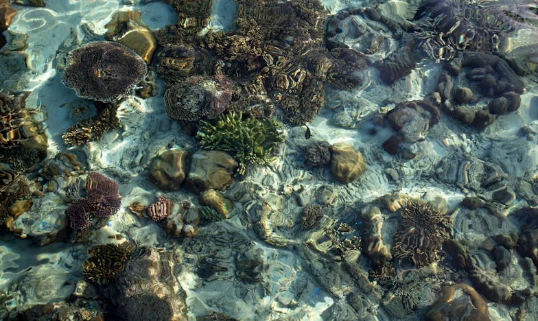 „Ia-ți singur pâinea și gătește-ți singur!” – O femeie româncă care a spus, în sfârșit, destul